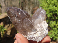 Natural Smokey Quartz Crystal Specimens x 3 From Malawi - Toprock Gemstones and Minerals 