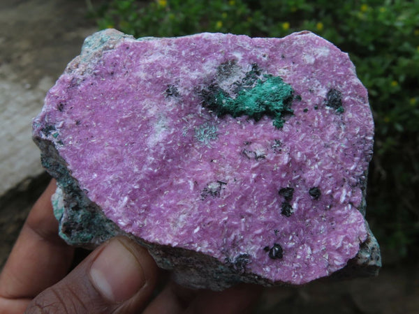 Natural Salrose Specimens 1 With Some Malachite Crystals  x 6 From Kakanda, Congo - TopRock