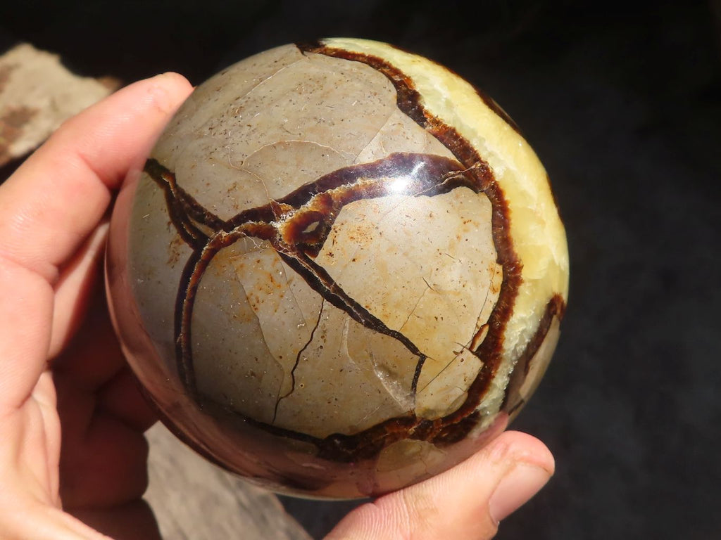 Polished Septaria Spheres x 2 From Madagascar - Toprock Gemstones and Minerals 