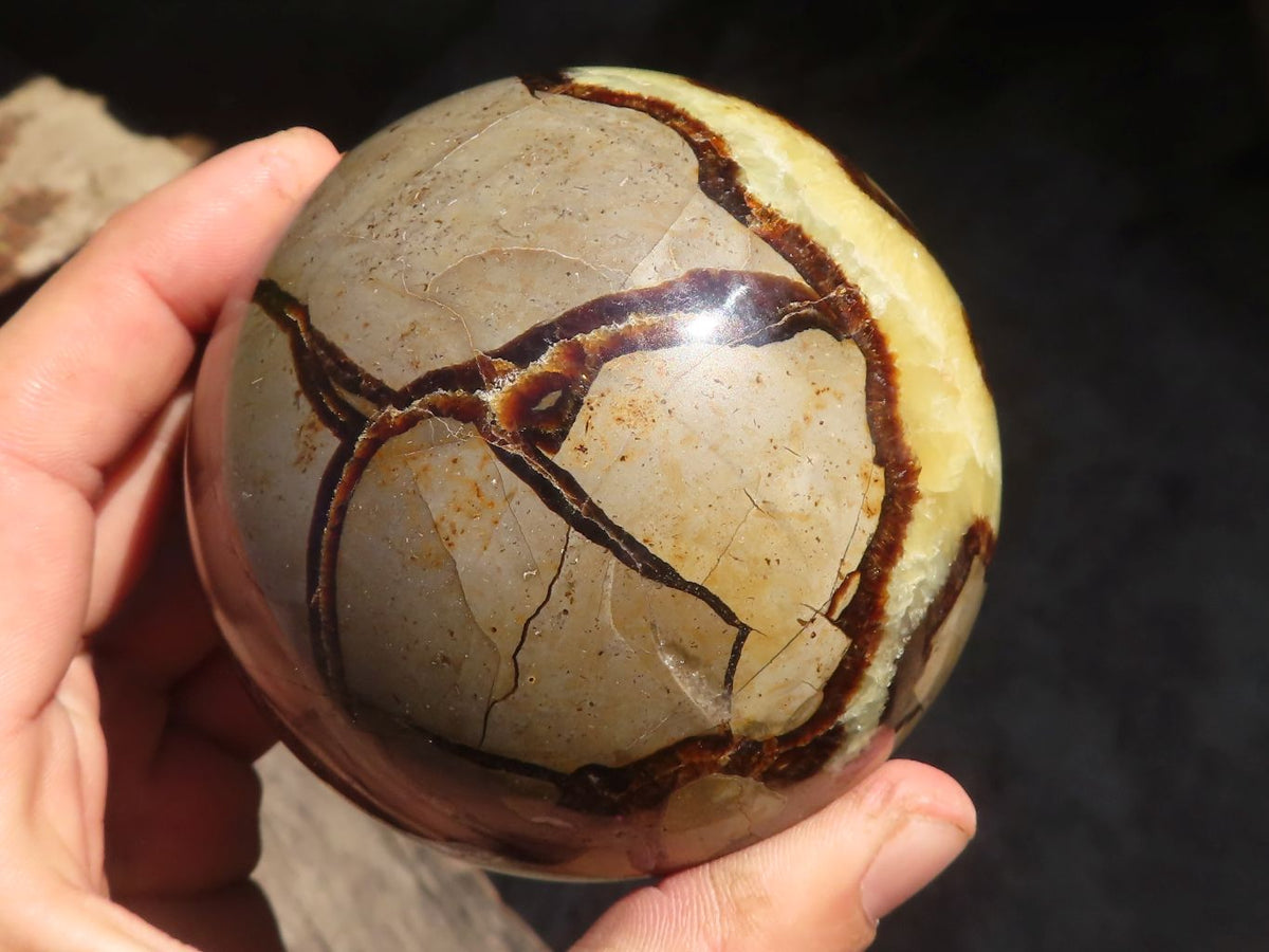 Polished Septaria Spheres x 2 From Madagascar - Toprock Gemstones and Minerals 