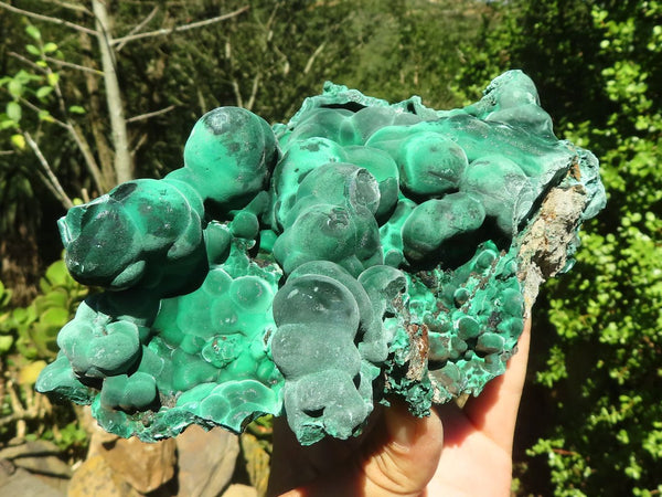Natural Large Botryoidal Silky Malachite Specimen  x 1 From Kasompe, Congo - Toprock Gemstones and Minerals 