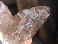 Natural Smokey Quartz Crystal Specimens x 3 From Malawi - Toprock Gemstones and Minerals 