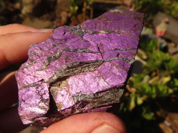 Natural Rough Metallic Purpurite Specimens  x 12 From Erongo, Namibia - Toprock Gemstones and Minerals 