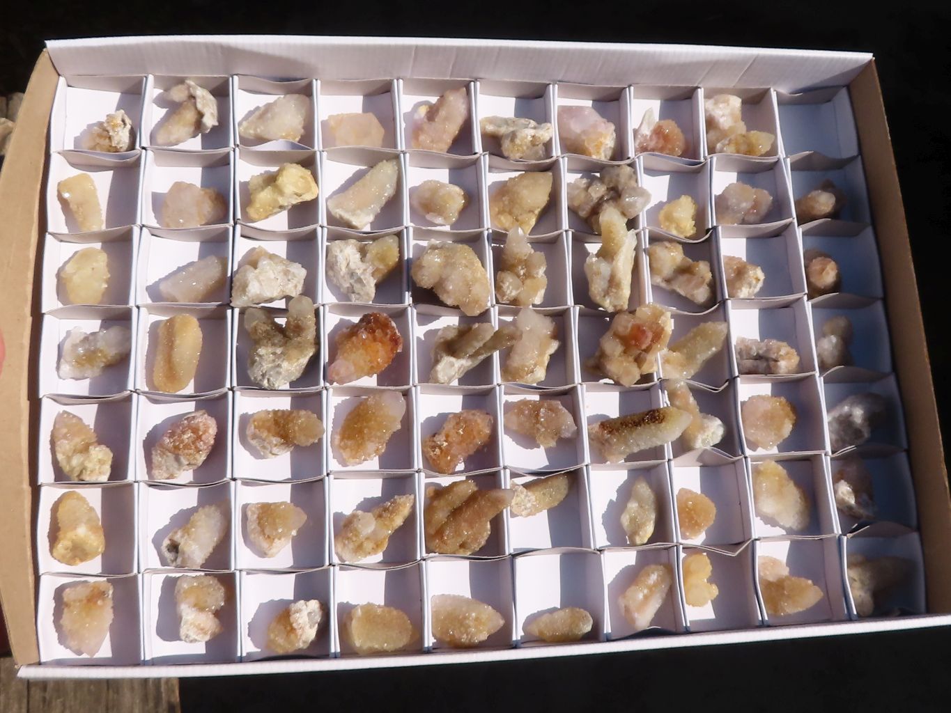 Natural Mixed Spirit Quartz Crystals x 70 From Boekenhouthoek, South Africa - Toprock Gemstones and Minerals 