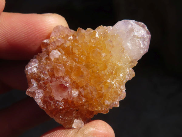 Natural Mixed Spirit Quartz Crystals x 70 From Boekenhouthoek, South Africa - Toprock Gemstones and Minerals 