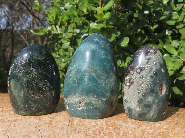 Polished Green Ocean Jasper Standing Free Forms With Nice Orbicular Patterns x 6 From Marovato, Madagascar - TopRock