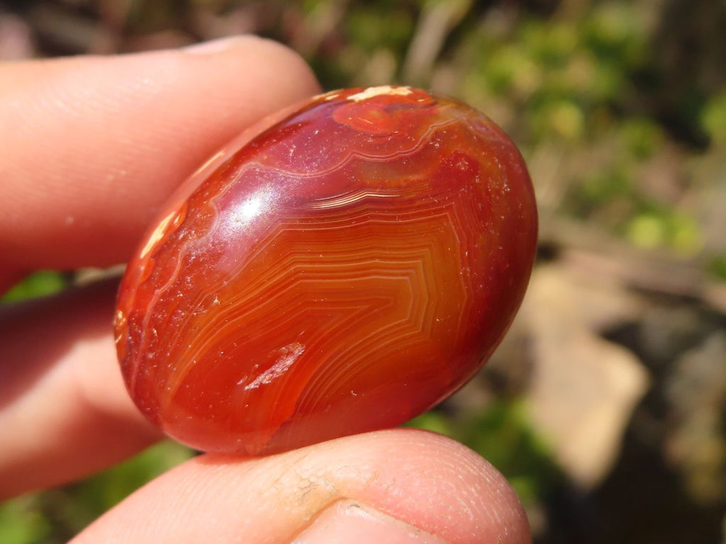 Polished Carnelian Agate Tumble Stones x 1 Kg Lot From Madagascar - Toprock Gemstones and Minerals 