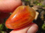 Polished Carnelian Agate Tumble Stones x 1 Kg Lot From Madagascar - Toprock Gemstones and Minerals 