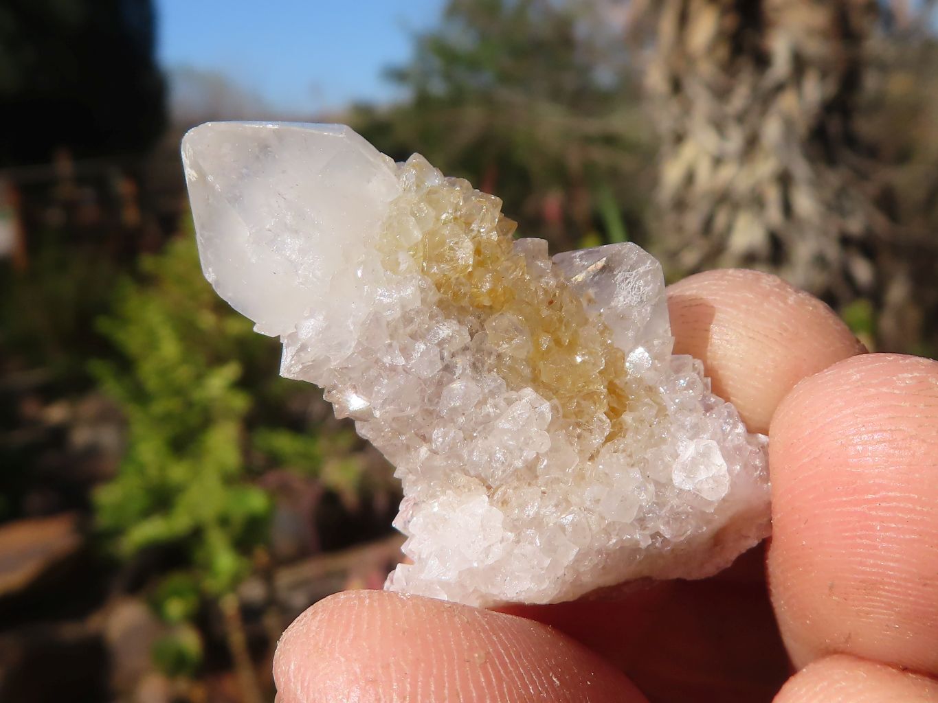 Natural Mixed Spirit Quartz Crystals x 70 From Boekenhouthoek, South Africa - Toprock Gemstones and Minerals 