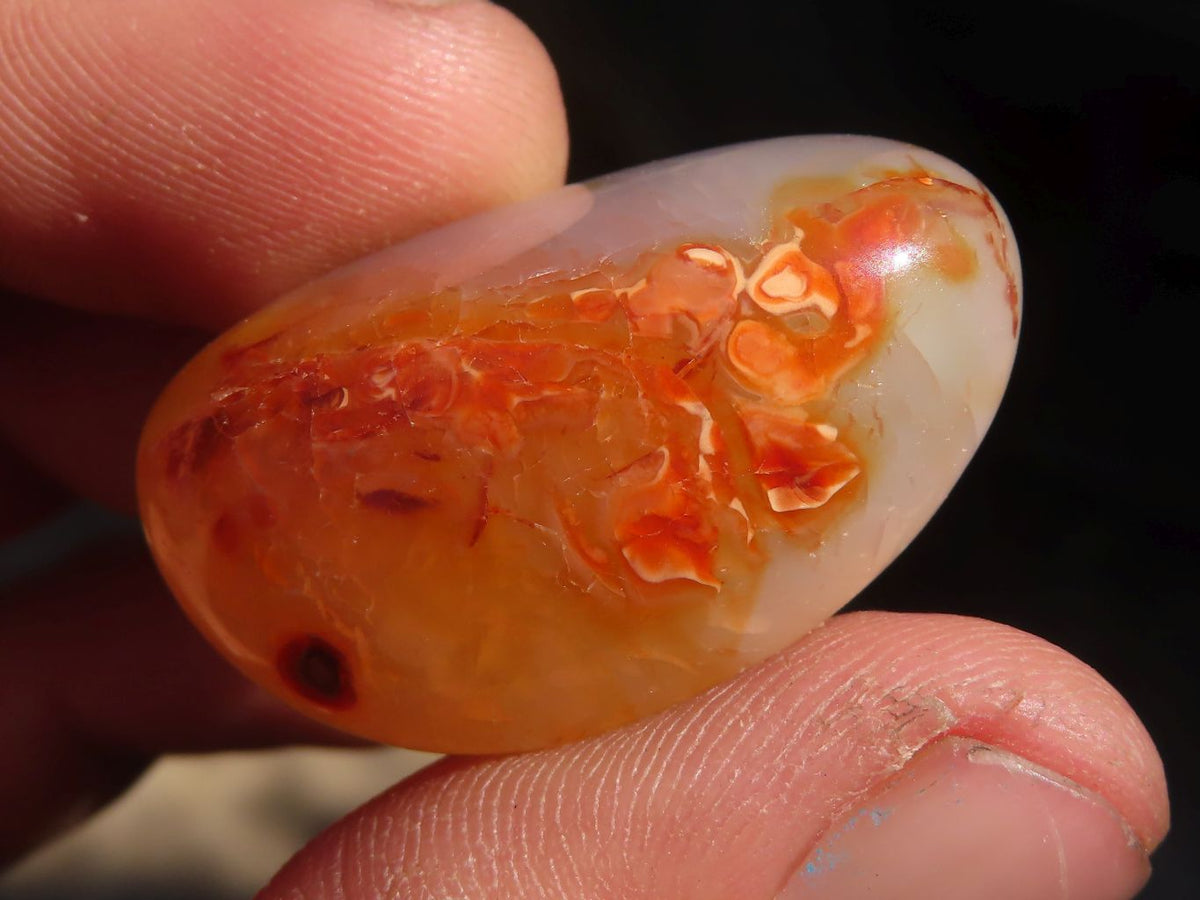 Polished Carnelian Agate Tumble Stones x 1 Kg Lot From Madagascar - Toprock Gemstones and Minerals 