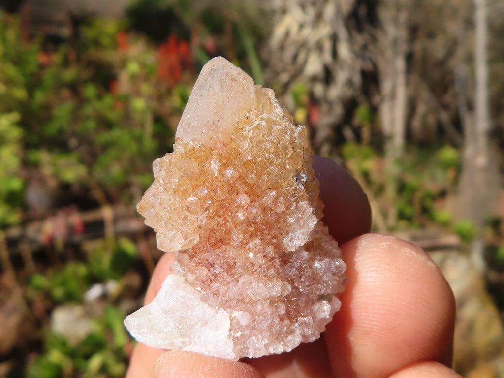 Natural Mixed Spirit Quartz Crystals x 70 From Boekenhouthoek, South Africa - Toprock Gemstones and Minerals 