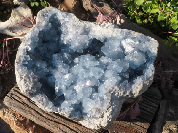 Natural Stunning XXL Blue Celestite Geode Specimen  x 1 From Sakoany, Madagascar