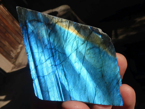 Polished One Side Polished Labradorite Slices  x 12 From Tulear, Madagascar