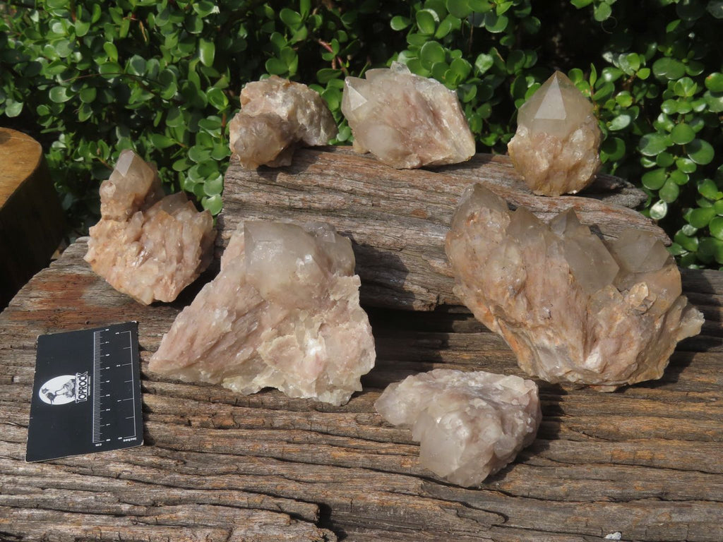 Natural Smokey Phantom Quartz Clusters & Crystals  x 7 From Luena, Congo - TopRock