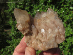 Natural Smokey Phantom Quartz Clusters & Crystals  x 7 From Luena, Congo - TopRock