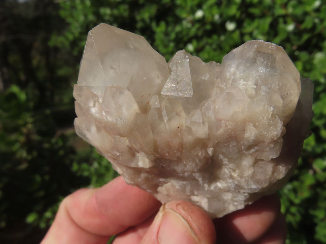 Natural Smokey Phantom Quartz Clusters & Crystals  x 7 From Luena, Congo - TopRock