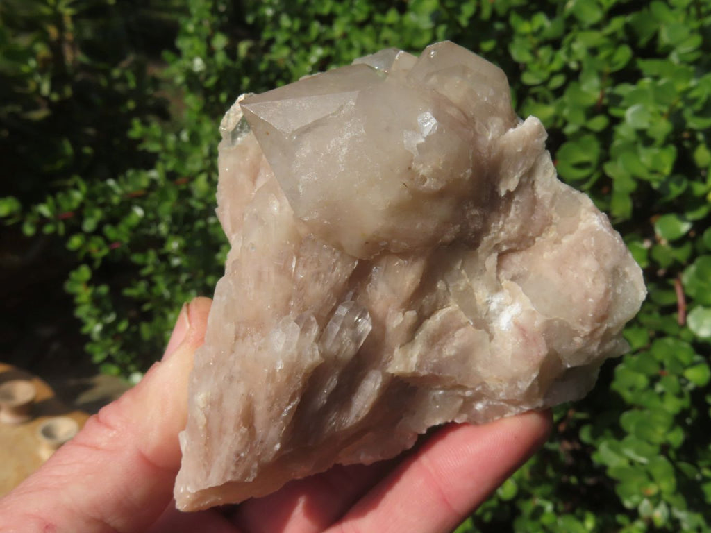 Natural Smokey Phantom Quartz Clusters & Crystals  x 7 From Luena, Congo - TopRock