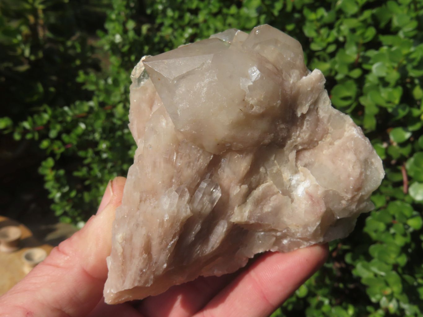 Natural Smokey Phantom Quartz Clusters & Crystals  x 7 From Luena, Congo - TopRock