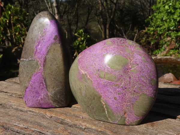 Polished Purple Stichtite & Serpentine Standing Free Forms  x 2 From Barberton, South Africa