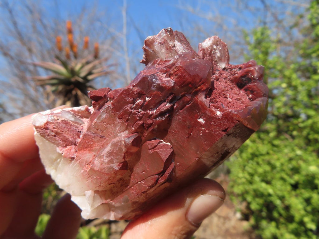 Natural Red Hematoid Quartz Specimens x 12 From Karoi, Zimbabwe - Toprock Gemstones and Minerals 