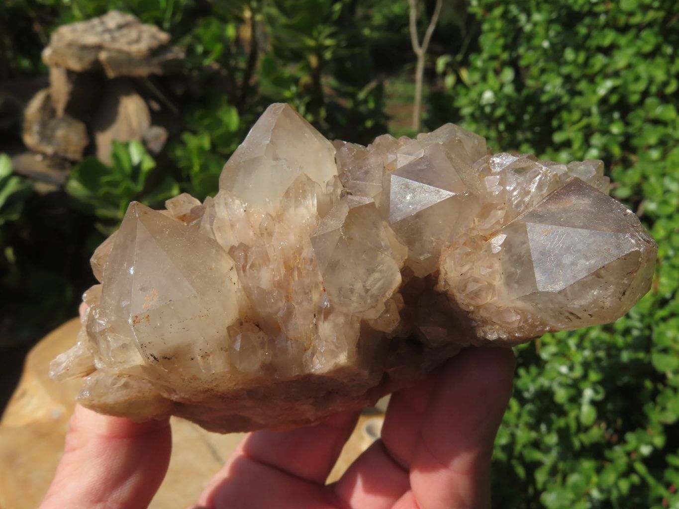 Natural Smokey Phantom Quartz Clusters & Crystals  x 7 From Luena, Congo - TopRock