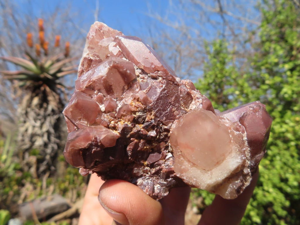 Natural Red Hematoid Quartz Specimens x 12 From Karoi, Zimbabwe - Toprock Gemstones and Minerals 