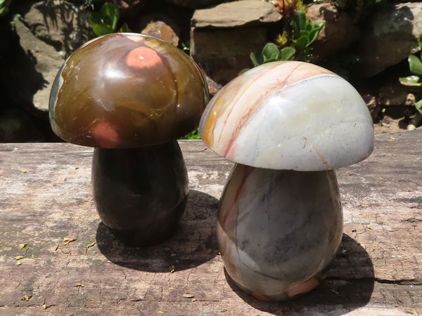 Polished Large Polychrome / Picasso Jasper Mushrooms x 2 From Madagascar - TopRock