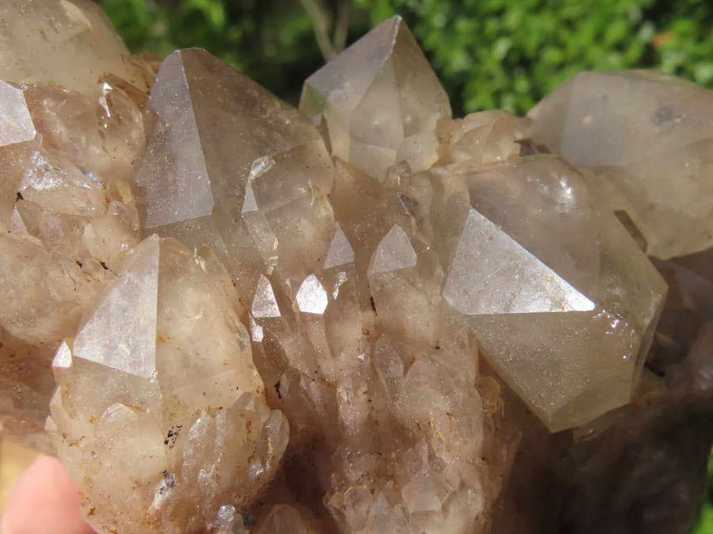 Natural Smokey Phantom Quartz Clusters & Crystals  x 7 From Luena, Congo - TopRock