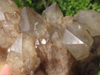 Natural Smokey Phantom Quartz Clusters & Crystals  x 7 From Luena, Congo - TopRock