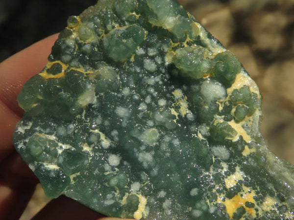 Natural Small Green Chrome Emerald Chrysoprase Cutting Material  x 2.5 Kg Lot From Mutorashanga, Zimbabwe - TopRock