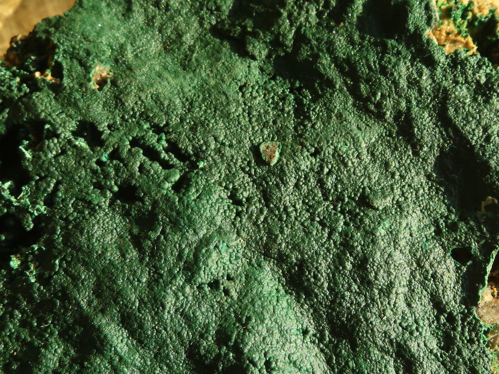 Natural Micro Botryoidal Crystalline Malachite Specimens  x 4 From Congo - Toprock Gemstones and Minerals 