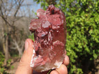 Natural Red Hematoid Quartz Specimens x 12 From Karoi, Zimbabwe - Toprock Gemstones and Minerals 