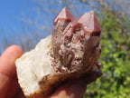 Natural Red Hematoid Quartz Specimens x 12 From Karoi, Zimbabwe - Toprock Gemstones and Minerals 
