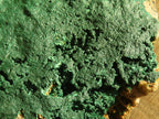 Natural Micro Botryoidal Crystalline Malachite Specimens  x 4 From Congo - Toprock Gemstones and Minerals 