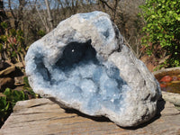 Natural Blue Celestite Geode Specimen  x 1 From Sakoany, Madagascar - Toprock Gemstones and Minerals 