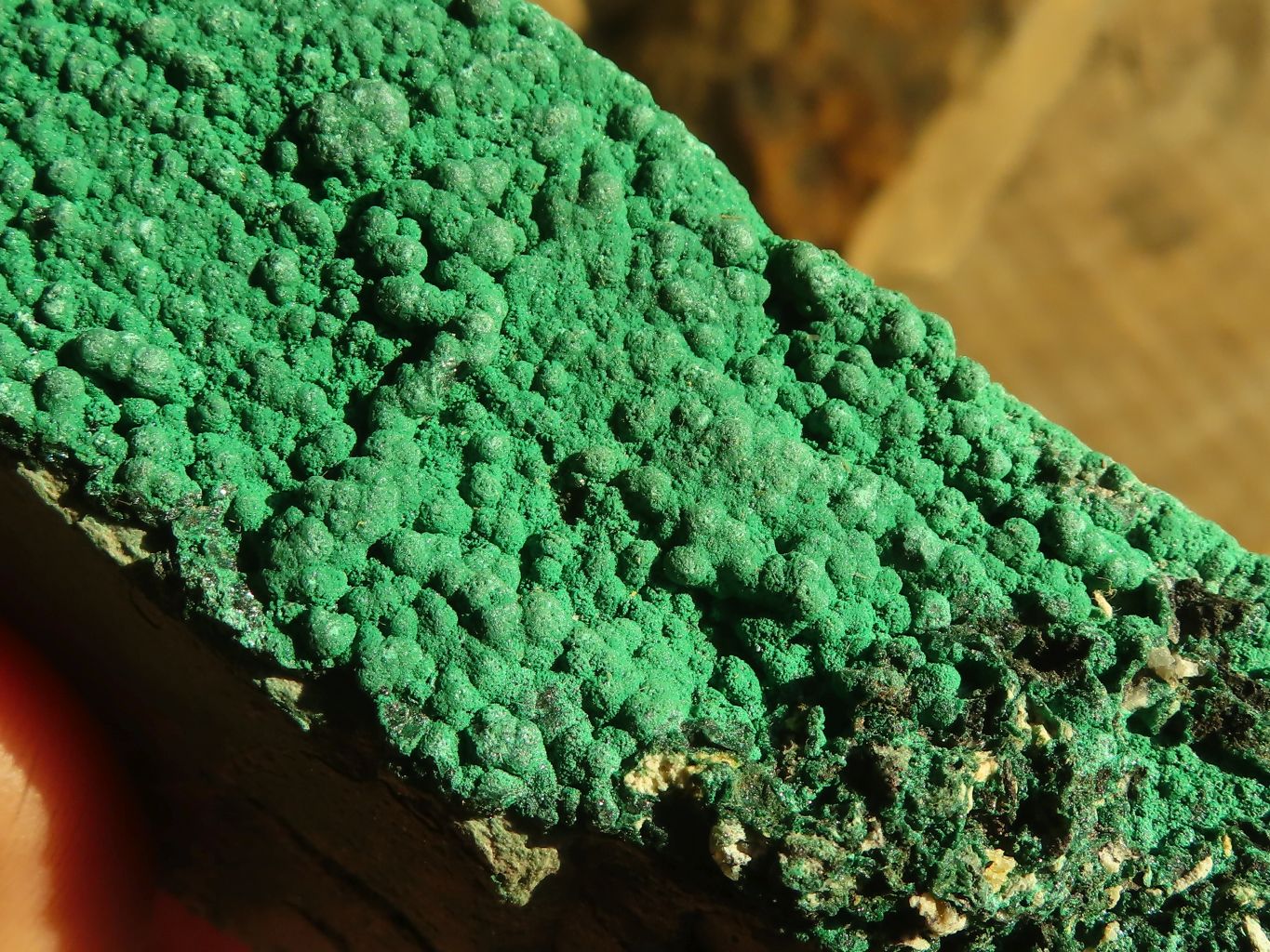 Natural Micro Botryoidal Crystalline Malachite Specimens  x 4 From Congo - Toprock Gemstones and Minerals 