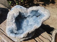 Natural Blue Celestite Geode Specimen  x 1 From Sakoany, Madagascar - Toprock Gemstones and Minerals 