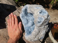 Natural Blue Celestite Geode Specimen  x 1 From Sakoany, Madagascar - Toprock Gemstones and Minerals 