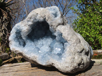 Natural Blue Celestite Geode Specimen  x 1 From Sakoany, Madagascar - Toprock Gemstones and Minerals 