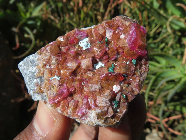Natural Drusy Salrose Cobaltion Dolomite Specimens x 12 From Kakanda, Congo - TopRock