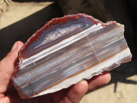 Polished River Agate Nodules  x 2 From Sashe River, Zimbabwe - Toprock Gemstones and Minerals 