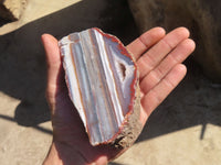 Polished River Agate Nodules  x 2 From Sashe River, Zimbabwe - Toprock Gemstones and Minerals 