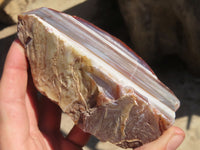 Polished River Agate Nodules  x 2 From Sashe River, Zimbabwe - Toprock Gemstones and Minerals 