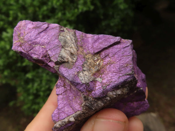 Natural Selected Rough Purpurite Specimens  x 12 From Namibia - TopRock