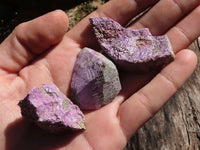 Natural Small Rough Stichtite Specimens  x 186 From Barberton, South Africa - TopRock