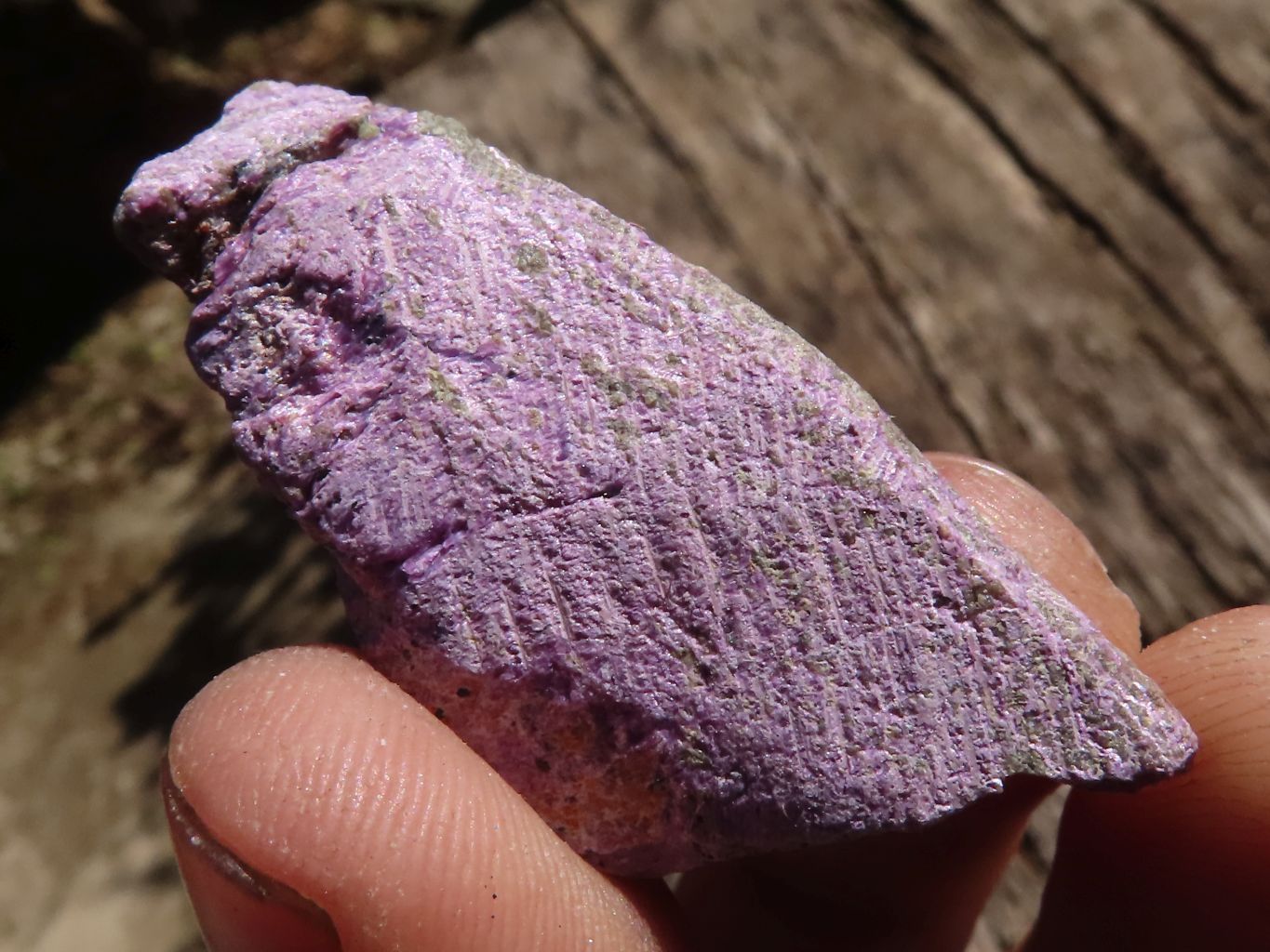 Natural Small Rough Stichtite Specimens  x 186 From Barberton, South Africa - TopRock