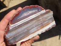 Polished River Agate Nodules  x 2 From Sashe River, Zimbabwe - Toprock Gemstones and Minerals 