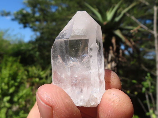 Natural Single Clear Quartz Crystals  x 2.2 Kg Lot From Zambia - Toprock Gemstones and Minerals 