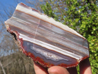 Polished River Agate Nodules  x 2 From Sashe River, Zimbabwe - Toprock Gemstones and Minerals 