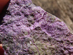 Natural Small Rough Stichtite Specimens  x 186 From Barberton, South Africa - TopRock